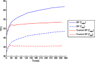 Model of a Pulsed Radiofrequency Technique for Pain Relief