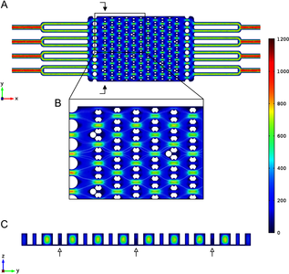 Development of a Single Cell Trapping Microfluidic Device