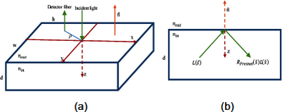 Simulation of Diffuse Optical Tomography using COMSOL Multiphysics®