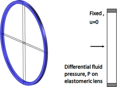 Simulating an Adaptive, Liquid-Filled Membrane Lens with COMSOL ...