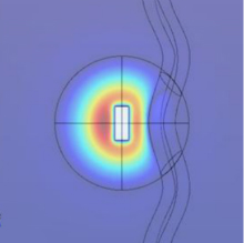 血管对肿瘤的光热疗法的影响