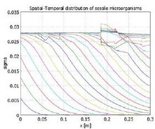 Transport, Growth, Decay and Sorption of Microorganisms and Nutrients ...