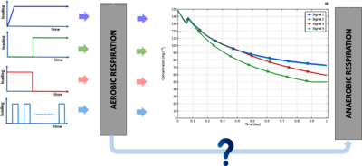 Model Based Stimulus Experiments to Improve Biological Wastewater Treatment ...