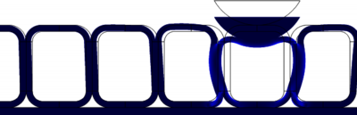 Modeling of Epithelial Sheet Deformation Under External Force Applied by a ...