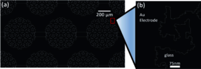 Design of a Nucleic Acid Biosensor Using COMSOL Multiphysics®