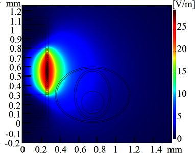 Evaluation of the Induced Excitation of the Peripheral Vestibular System ...