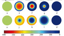 Multiple Solutions in the Theory of DC Glow Discharges