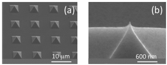 Electromagnetic Modeling of Field Emitter Cathodes Inside an L-Band RF Gun ...