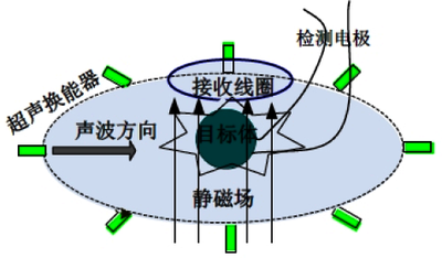 基于 COMSOL 的磁声电信号计算模拟方法研究