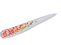 Additive Manufacturing of Metal Matrix Composites