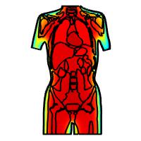 Nonhomogeneous Heat Transfer Simulation Using a Female Human Model