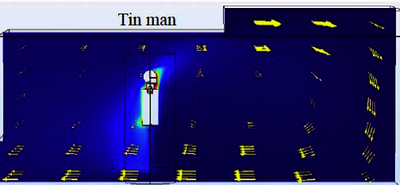 2D and 3D Simulation on Thermal Flow Around the Human Body