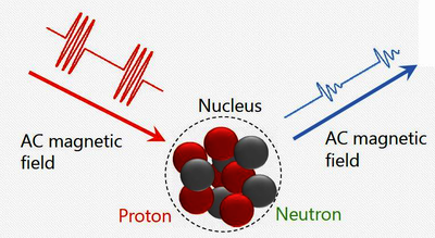 Electromagnetic Design of an RF-Coil Transceiver for NQR-Based Explosive ...