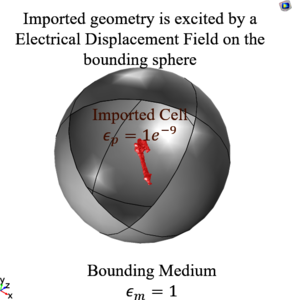 Numerical Evaluation of the Polarizability Tensors of Stem Cells with ...