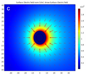 COMSOL Multiphysics® as a Tool for Biomedical Engineering Students to ...