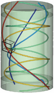 Passive and Active Deformation Processes of 3D Fibre-Reinforced Caricatures ...