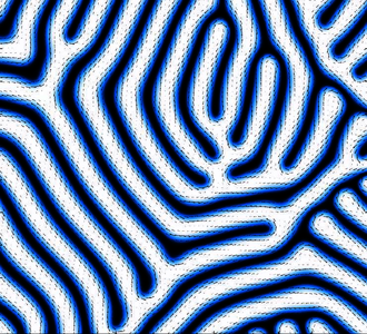 基于微磁学模型的磁矩动力学仿真