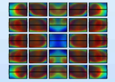 黑莓果微波真空加热温度场研究