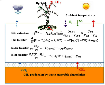 填埋场植被对甲烷氧化和释放的模拟分析