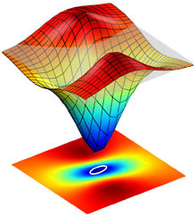 Dynamic Observation of Magnetic Particles in Continuous Flow Devices by ...