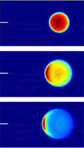 Streamer Propagation in a Point-to-Plane Geometry