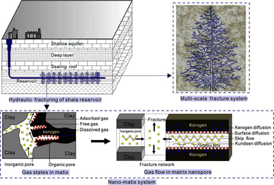 多场耦合下页岩储层基质和裂缝渗透率的动态演化