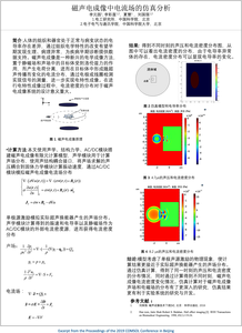 磁声电成像中电流场的仿真分析