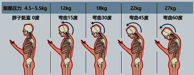 PVDF压电材料在生物医疗中的应用