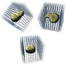 Gauss's Law; Teaching Platform Using the Magic Cube: Implementation by ...