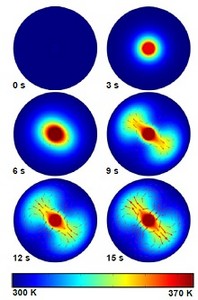 Thermomagnetic Siphoning on a Bundle of Current-Carrying Wires