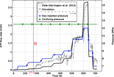 Hydromechanical Modelling of Gas Migration in Host Rocks for Nuclear Waste ...