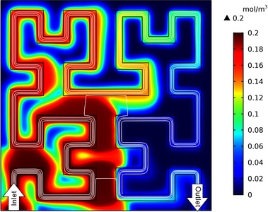 Modeling of Mass Transport in 3D Vascularized Porous Tissue Scaffolds