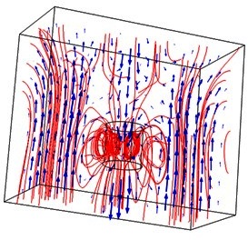 Dielectric Measurement of a High Permittivity Liquid
