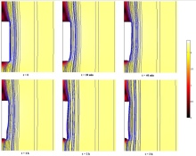 A Multiphase Model to Analyze Transport Phenomena In Convective Drying