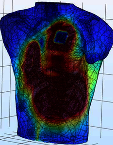 Combining Image-Based Solutions with COMSOL Multiphysics® Simulations