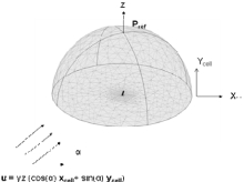 Shear Induced Detachment Of Microorganisms Attached To A Plane Wall