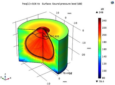 Mechanical and Thermal Effects of Focused Ultrasound on a Biological Tissue ...