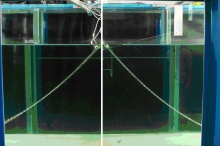 Dynamic Model for Catenary Mooring: Experimental Validation of the Wave ...