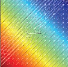 Convergence Rates For Models With Coupled 1D / 2D Subdomains
