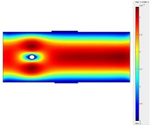 Detection of E.coli Cell using Capacitance Modulation