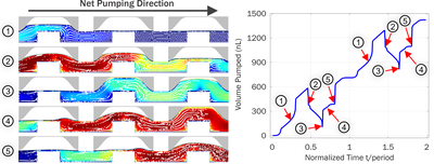 Electrostatic Zipping Actuation of a Three-Chamber Peristaltic Micropump