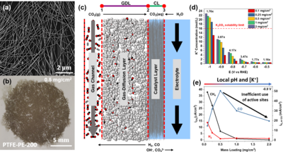 Modeling Interplay Between Catalyst Performance and Microenvironment in CO2 ...