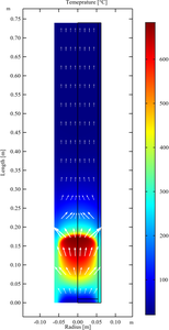 Thermal Heterogeneity Induced by Smouldering Combustion in Homogeneous ...