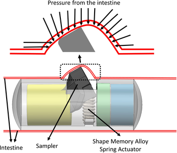 Stress Analysis on a Capsule Robot Due to the Peristaltic Movement of the ...