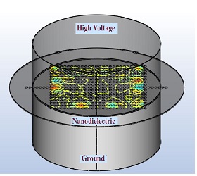 Multiphysics Simulation of Internal Discharge in Nanodielectric