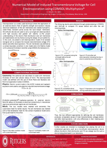 Numerical Model of Induced Transmembrane Voltage for Cell Electroporation ...