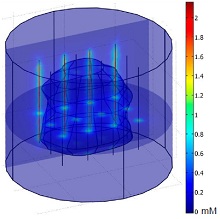 Parameter Optimization for FEM Based Modeling of Singlet Oxygen During PDT ...
