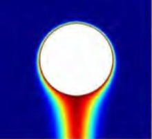 Transport Phenomena of Bubbles in a High Viscous Fluid