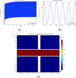 Time domain simulation of insulating dielectric materials with non ...