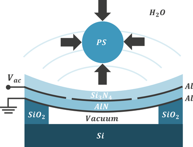Acoustic manipulation capabilities of a multifrequency AlN based PMUT